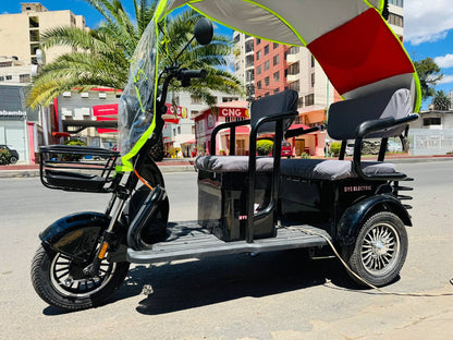 Trimoto familiar TR3