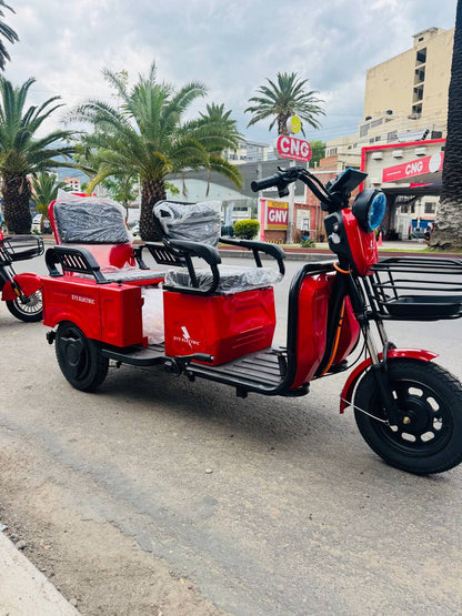Trimoto cargera TR2