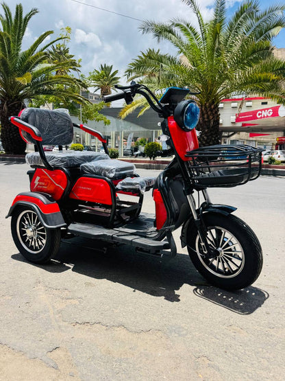 🛺 Trimoto Eléctrica TR1