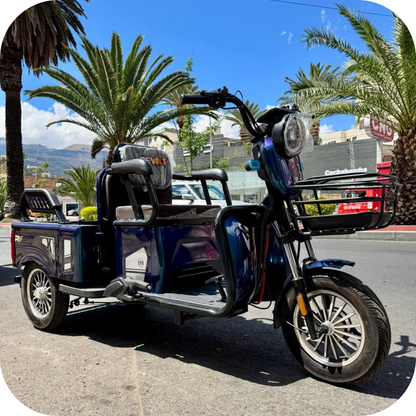 Trimoto cargera TR2