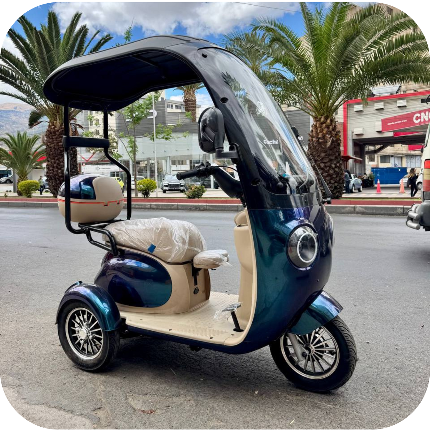 Trimoto torito TR4