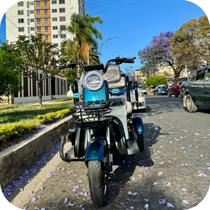 Trimoto familiar TR3