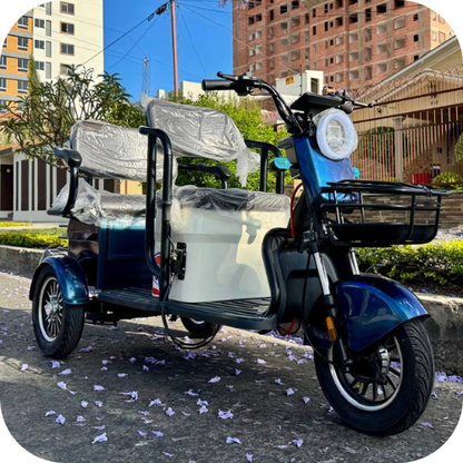 Trimoto familiar TR3