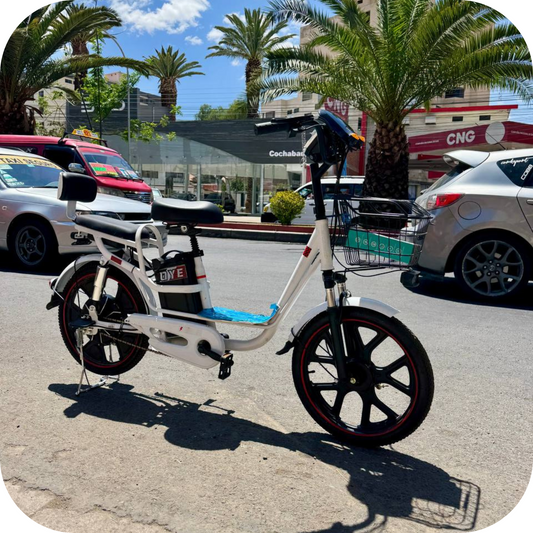 Bicicleta electrica RV9