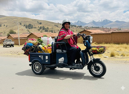 Trimoto cargera TR2