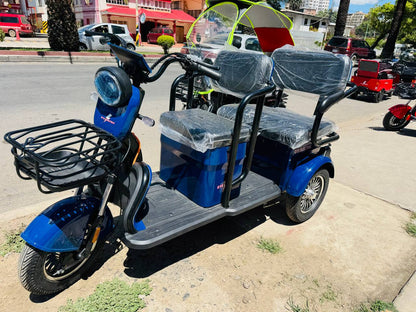 Trimoto familiar TR3